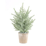 Potted Icy Pine Tree 12"