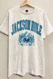 Jackson Hole Graphic Tee in Ash