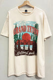 Grand Teton Graphic Tee in Natural