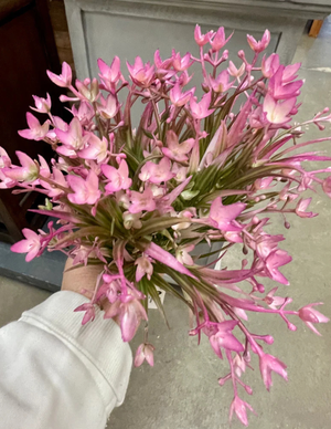 Rexburg | Real Deals