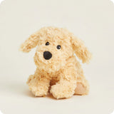 Golden Dog Warmies - Junior