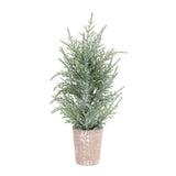 Potted Icy Pine Tree