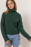 Turtleneck Sweater