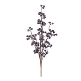 Blue Berry Branch
