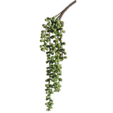 Soft String Of Pearls Spray