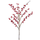 Iced Berry Pick Red