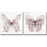 Blushing Wings 16x16