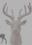 Res Wht Flocked Deer Head