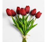 Red Tulip Bunch