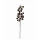 Ball Branch