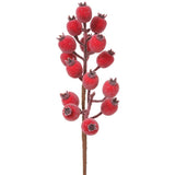 Rosehip Spray Red