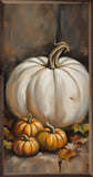 White Pumpkin And Small Orange