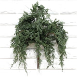 Dark Green Juniper Pick