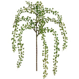 Sedum Hanging Spray Green