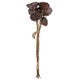 Rope Lotus Pod