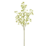 Soft Pe Sedum Spray Cream