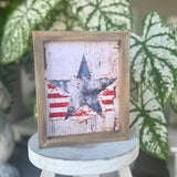 Salute The Flag Frame