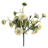 Calendula Bush Cr/ye
