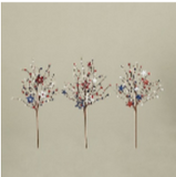 Americana Berry Pick W/ Stars