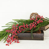 Sugar Berry String Garland-red