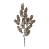 Pine Cone Spray  Plastic