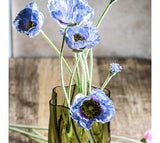 Blue Poppy Flower Stem