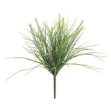 MONKEY GRASS