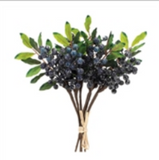 Berry Bundle