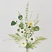 Wrinkle Poppy With Mix Leaves