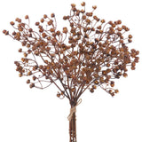 Gypsophila Bundle X5