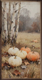Pumpkins And Birch Trees