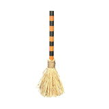 Orange Striped Broom
