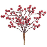 Iced Rosehip Bush Red