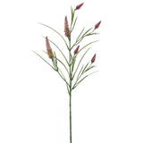 24 NARROWLEAF CLOVER SPRAY