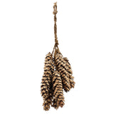 Strobus Pine Bundle