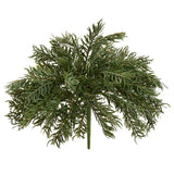 Soft Pe Pine Bush Green