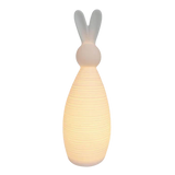 Md Light Up Cer Rabbit