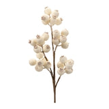 White Berry Spray