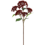 Sedum Spray Red