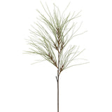 Lone Needle Pine Spray Gr