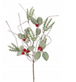 Cedar/leaf/berry Pick