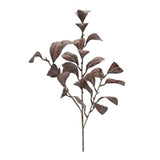 Leaf Spray