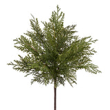 Soft Pe Cedar Bush Green