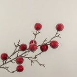 Frozen Pomegranate Spray