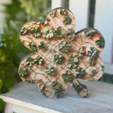 Dara Shamrock