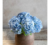 Blue Mini Hydrangea Bunch