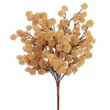 Soft Pe Sedum Bush Cr
