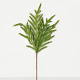 Soft Touch Evergreen Norfolk Pine