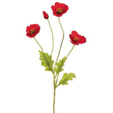Poppy Spray Re