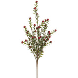 Berry Spray Red